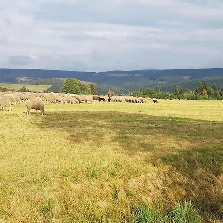 Cozy Near Trails, Cleaning Included Masserberg