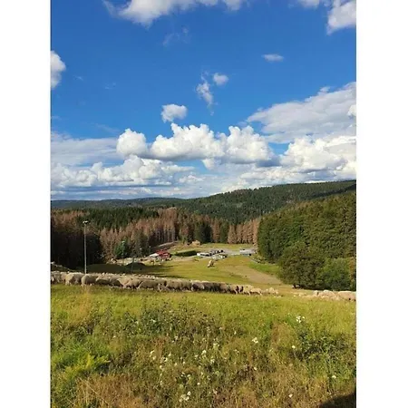 Cozy Near Trails, Cleaning Included