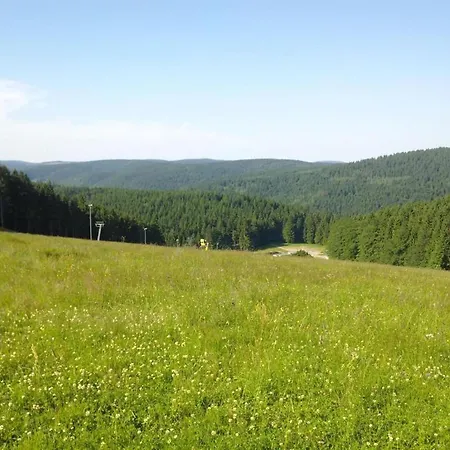 Apartmán Cozy Near Trails, Cleaning Included Masserberg