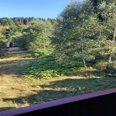Apartmán Cozy Near Trails, Cleaning Included *
