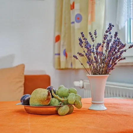 Cozy Near Trails, Cleaning Included Apartmán